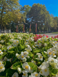 Similar image 22070190