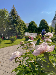 Similar image 22070191