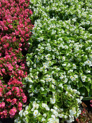 Similar image 22070216