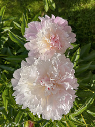 Similar image 22070219