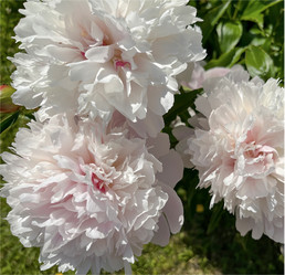 Similar image 22070248