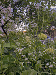 Similar image 22070249