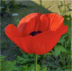 Similar image 22070268