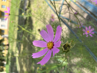 Similar image 22070270