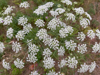 Similar image 22070290