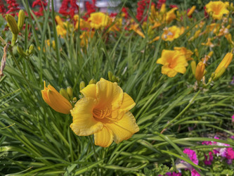 Similar image 22070291