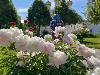 Similar image 22070308