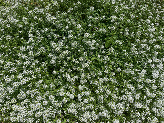 Similar image 22070309