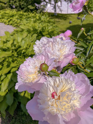 Similar image 22071251