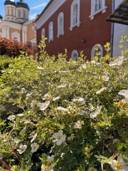 Similar image 22071252