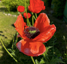 Similar image 22071253