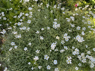 Similar image 22071254