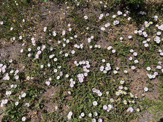 Similar image 22070310