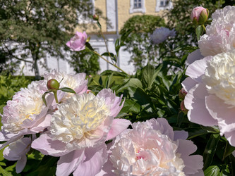 Similar image 22071255