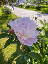 Similar image 22071257