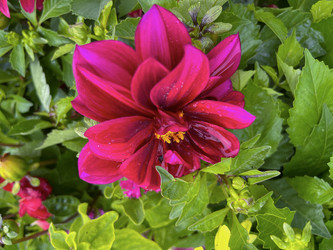 Similar image 22071258