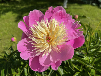 Similar image 22071259