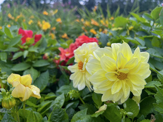 Similar image 22071260