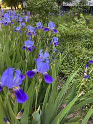 Similar image 22071261