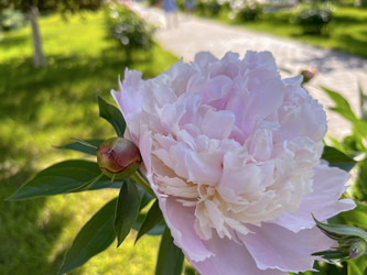 Similar image 22071265