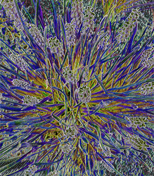 Similar image 22071270