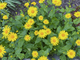 Similar image 22071271