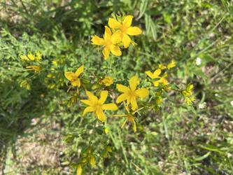 Similar image 22071272