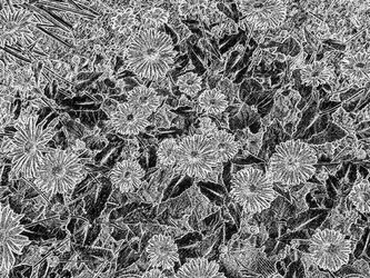 Similar image 22071274