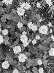 Similar image 22071277