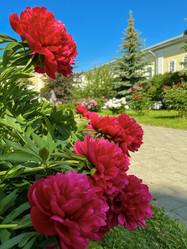 Similar image 22071278