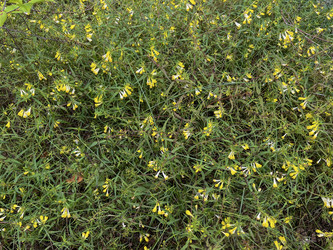 Similar image 22071458