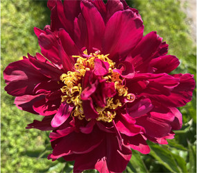 Similar image 22071472