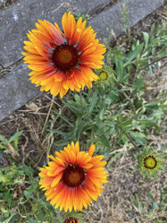 Similar image 22071473