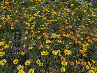 Similar image 22072051