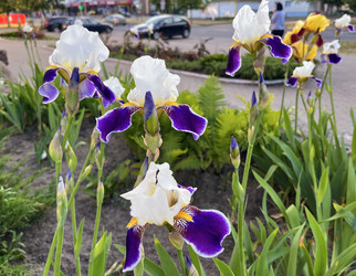 Similar image 22072053