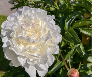 Similar image 22072054