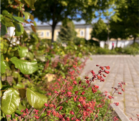 Similar image 22072056