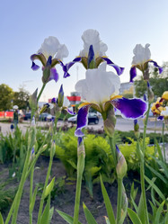 Similar image 22072057