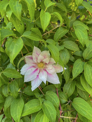 Similar image 22072058