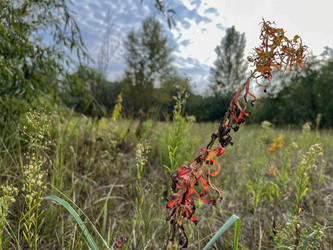 Similar image 22072207