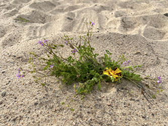 Similar image 22072208