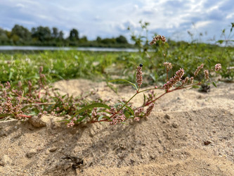 Similar image 22071281