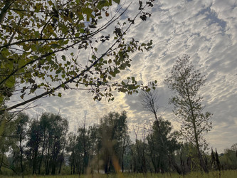 Similar image 22071282