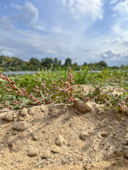 Similar image 22071283