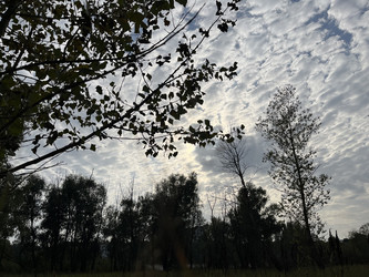 Similar image 22071286