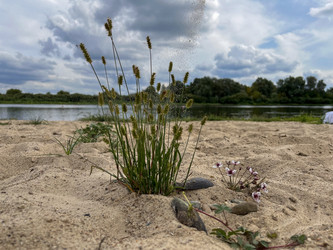 Similar image 22071289