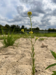 Similar image 22071461