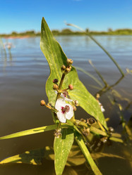 Similar image 22071476