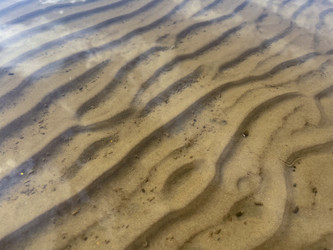 Similar image 22072063