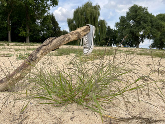 Similar image 22072064